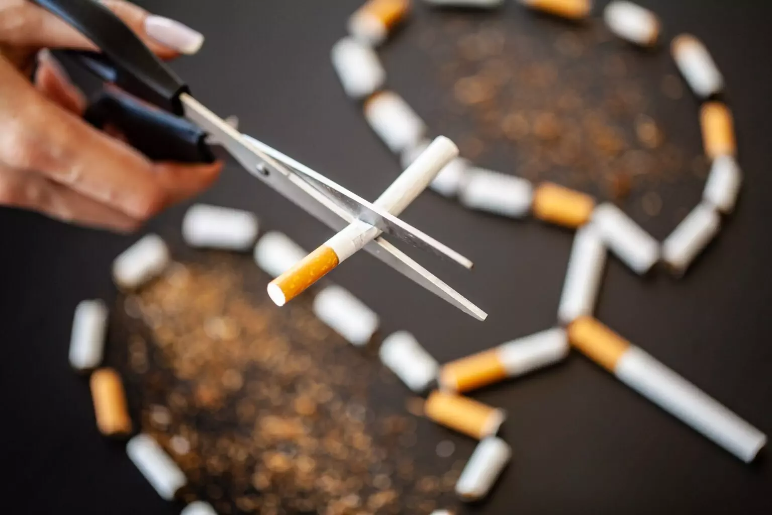 Stop smoking concept on background with broken cigarettes. Heap of cigarettes. No smoking