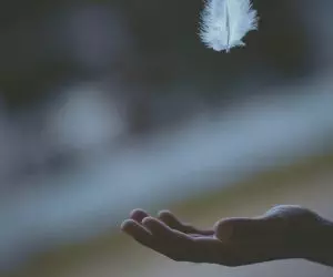 Photo by Javardh shallow focus photography of white feather dropping in person's hand